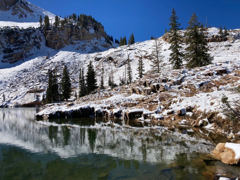 Snow Reflections