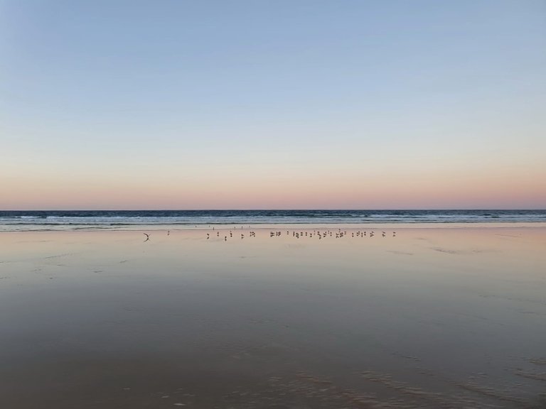 fraser_island_oct_2020_259.jpg