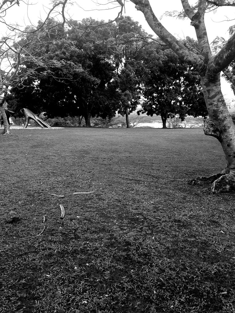 20220421_090536.jpg