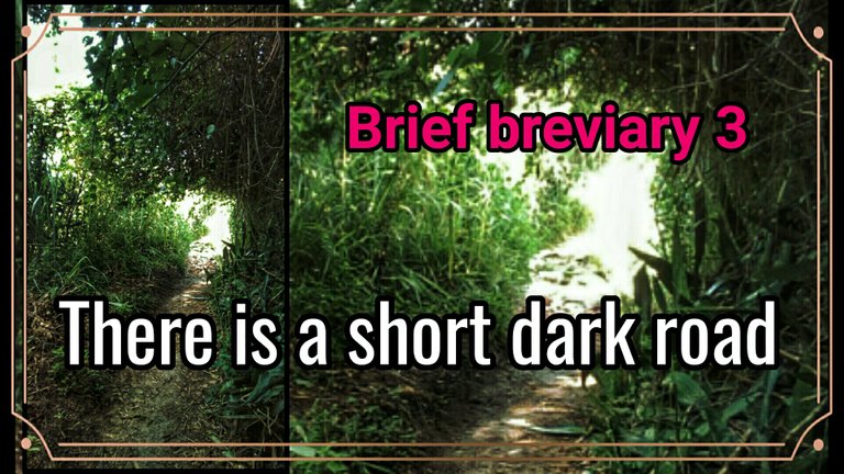 There is a short dark road (Brief breviary's poems) // Hay un corto camino oscuro 
(Poemas de Breve breviario)