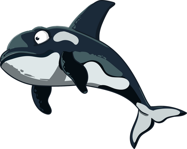 orca_3714404_1280.png