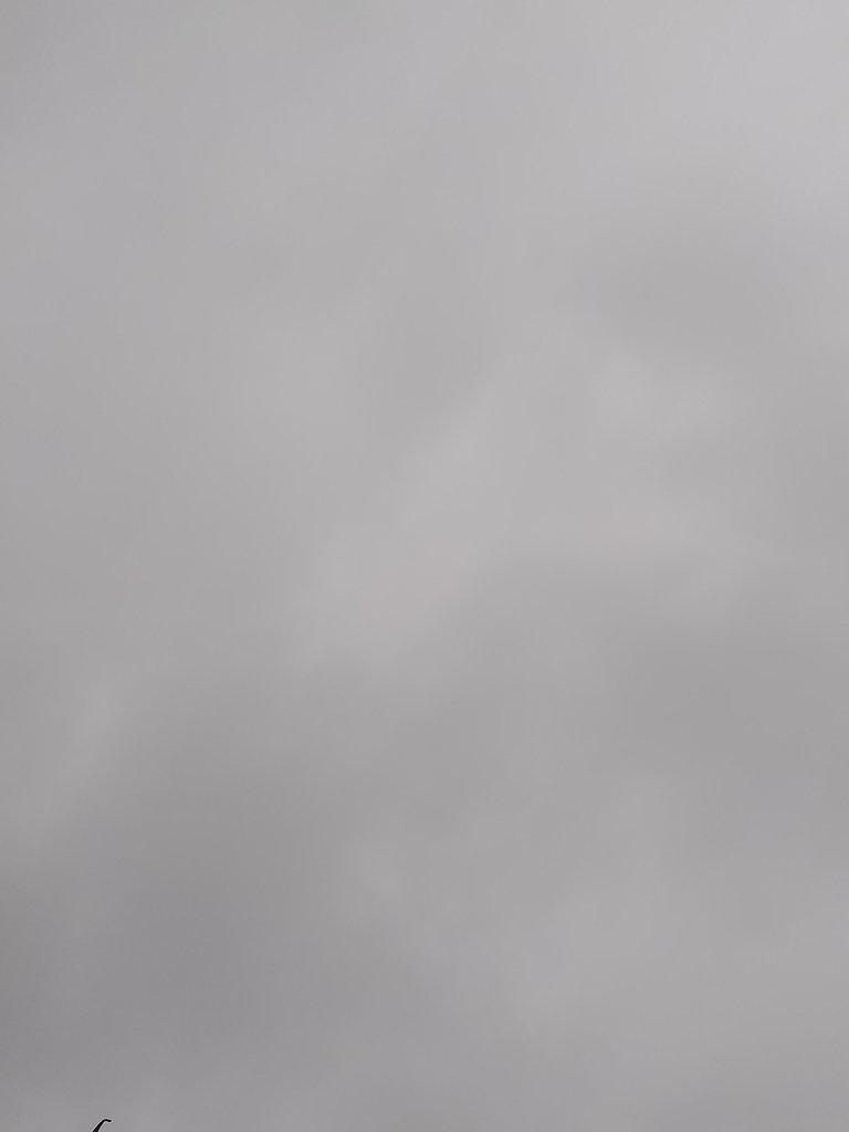 1000016445.jpg