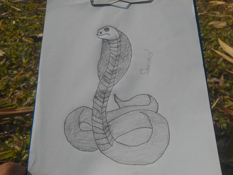 DIY Creative Sunday | Drawing a snake with a ruler.