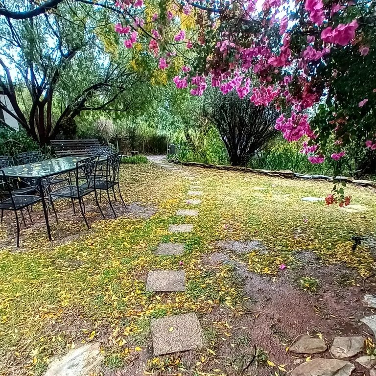 leaf carpet