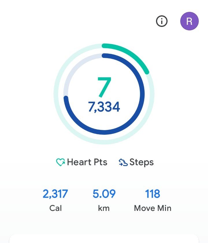 My Daily Activity Report: December 31 2025