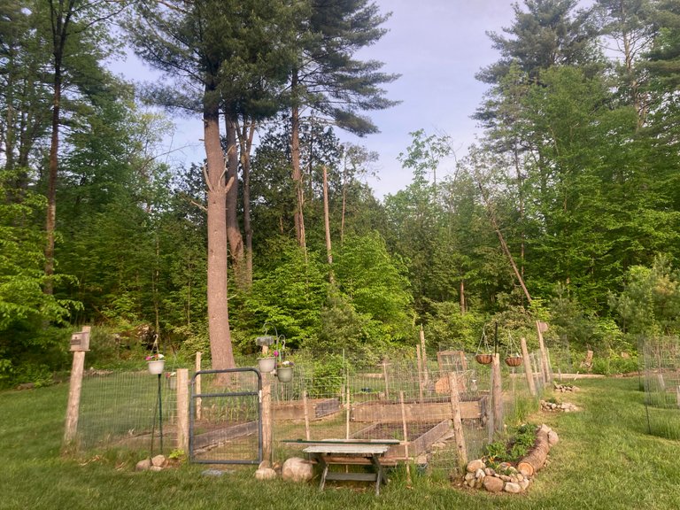 The garden
