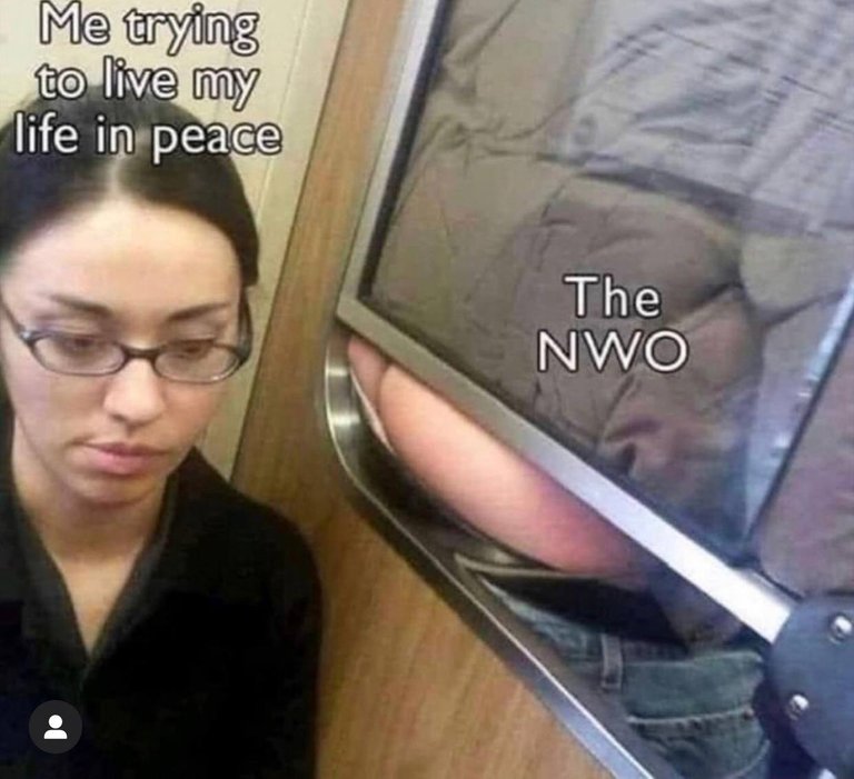 _6062161272914423808_121.jpg