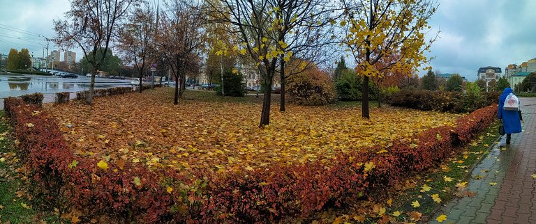 pano_20211014_133658.jpg