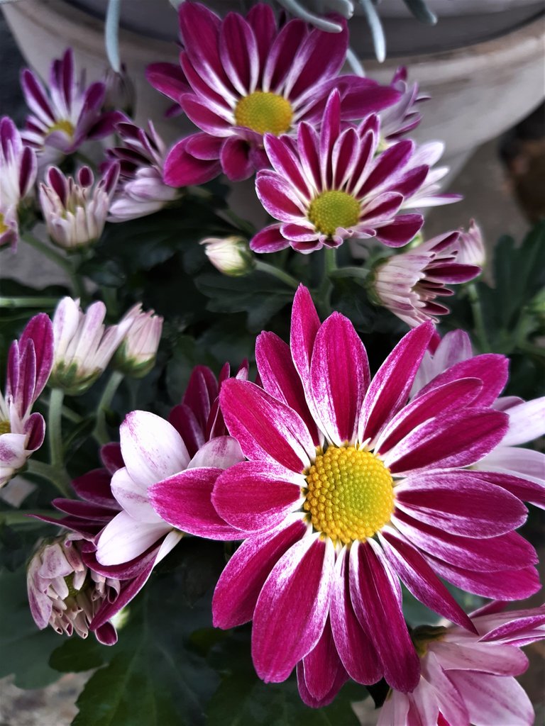20220426_150012.jpg