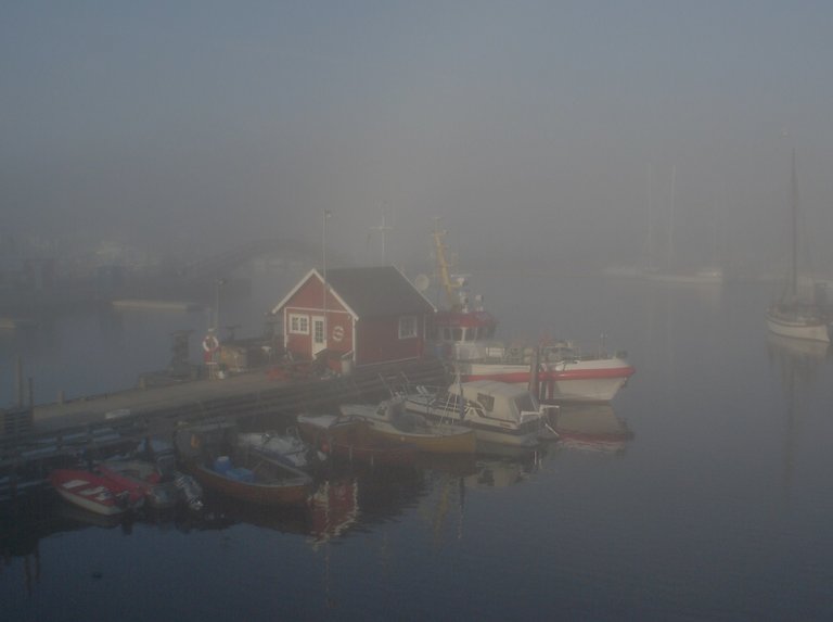 stavern_in_fog_028.jpg