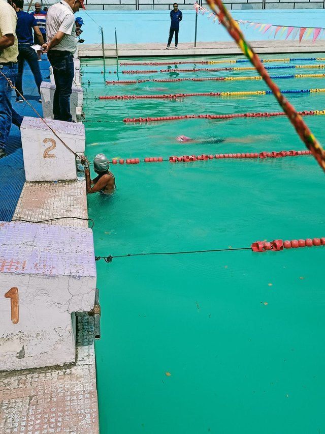 swimming_competition_1