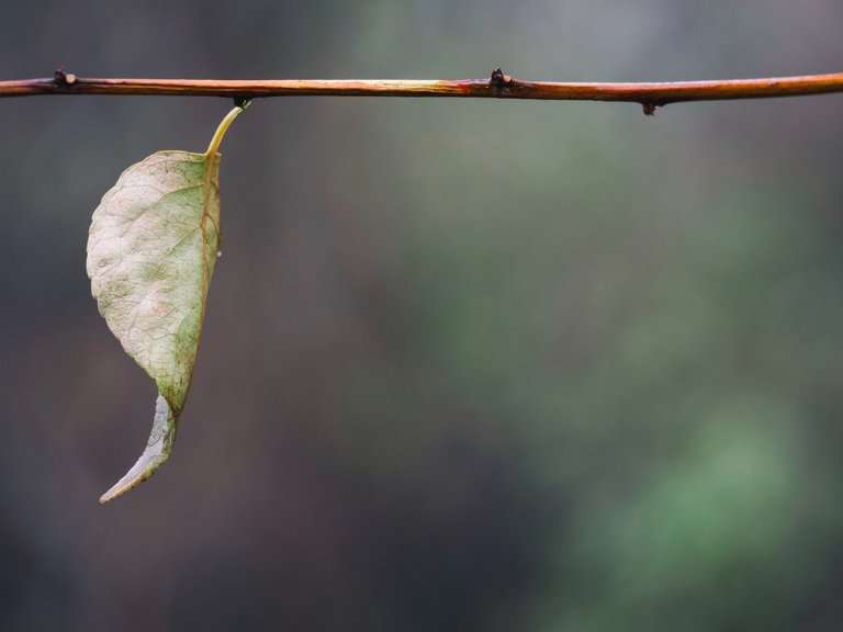 aaron_burden_o5diaiyin6k_unsplash