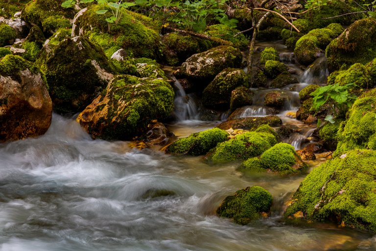 Intimate Landscape Photography - Sunikov Vodni Gaj - Sunik Water Grove, Slovenia