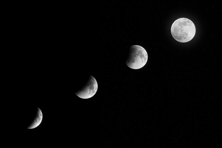 Lunar cycles in the garden.