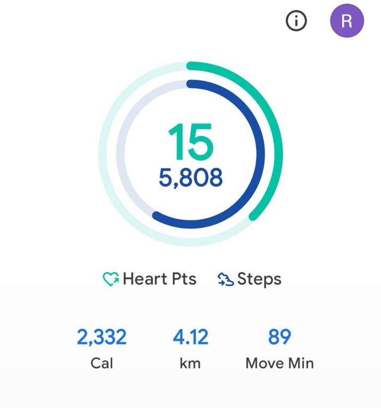 My Daily Activity Report: April 11 2026