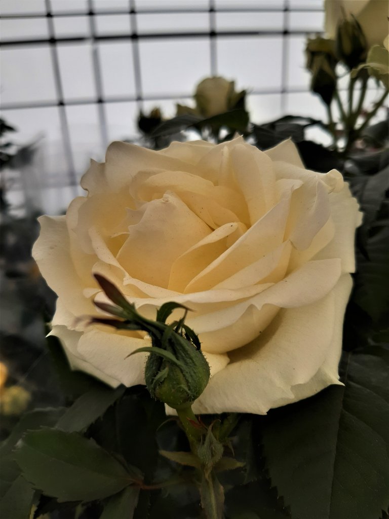 20220426_150901.jpg