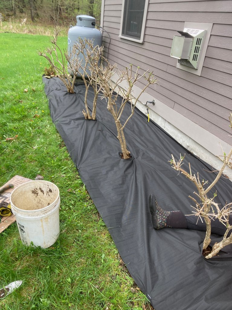 Landscaping Fabric