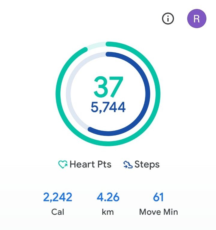 My Daily Activity Report: December 24 2025