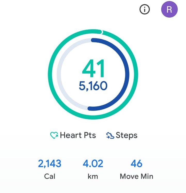 My Daily Activity Report: April 13 2026