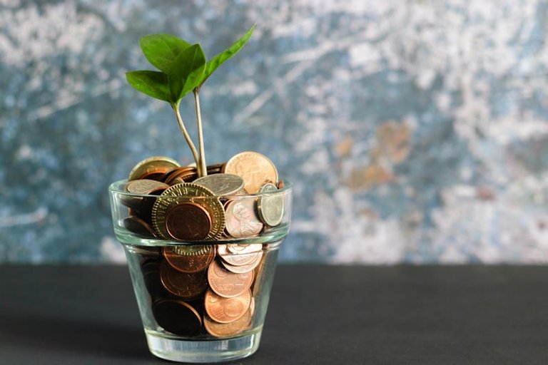 FINANCIAL MANAGEMENT TIP