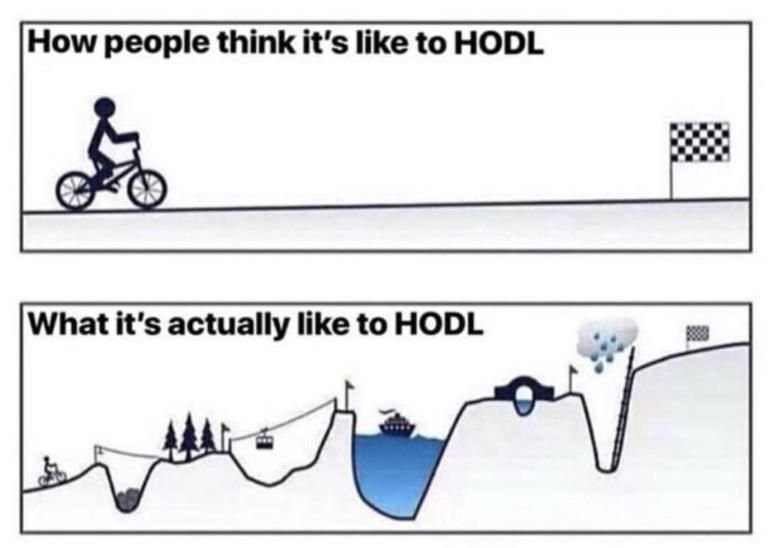 how_people_think_its_like_to_hodl_vs_what_its_actually_like_to_hodl_crypto_memes_768x548.jpg
