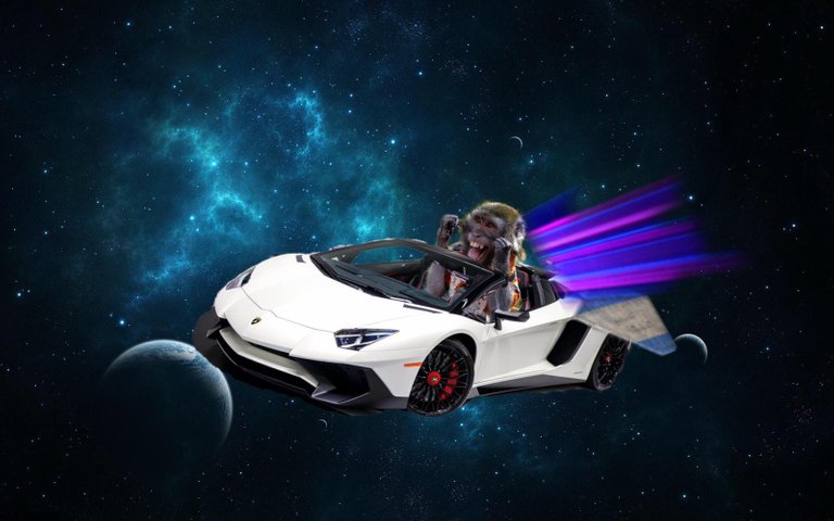 ape_in_the_lambo.jpeg