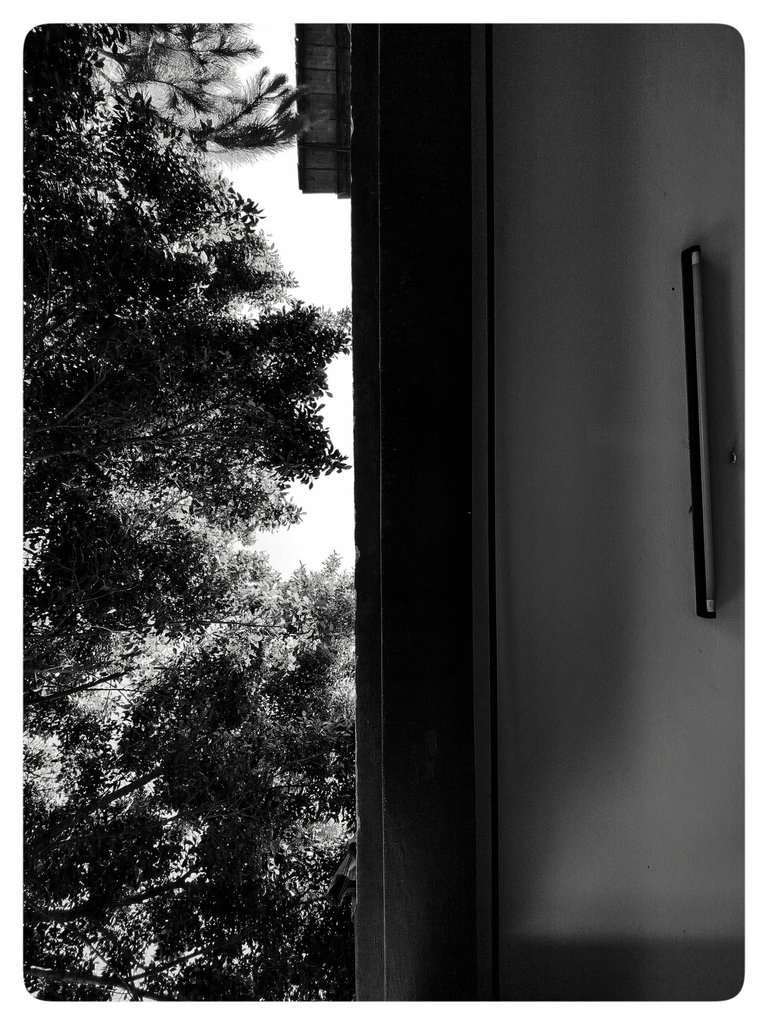 A shot for the sky from my balcony