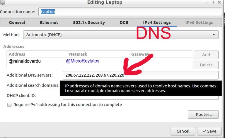 dns1.jpg