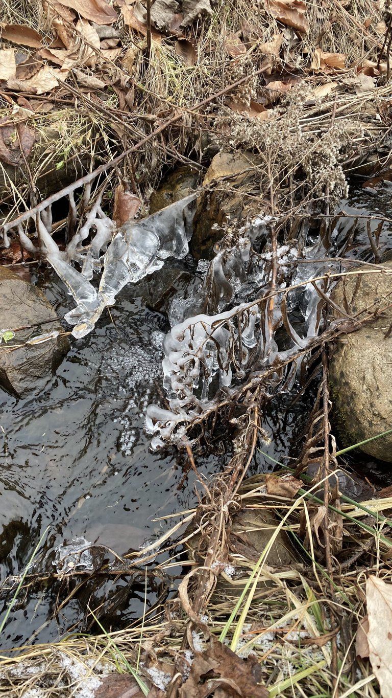 Icy babbling brook