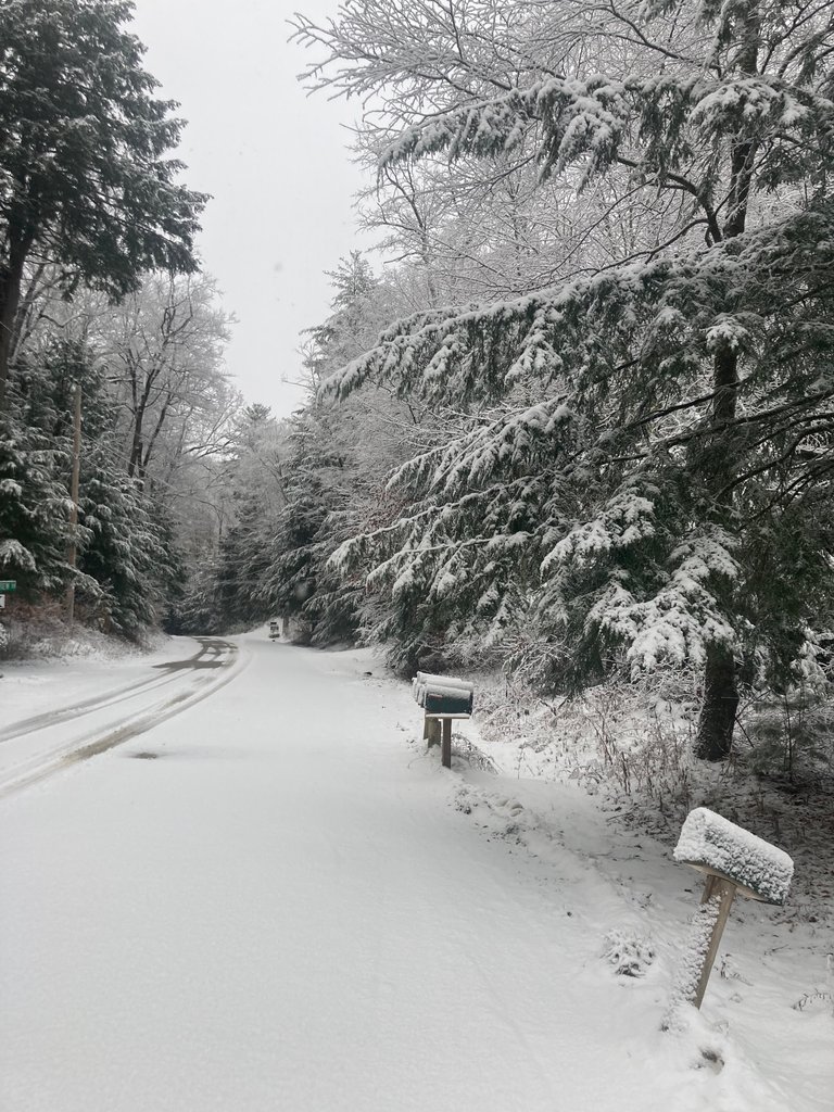 Vermont Country Road