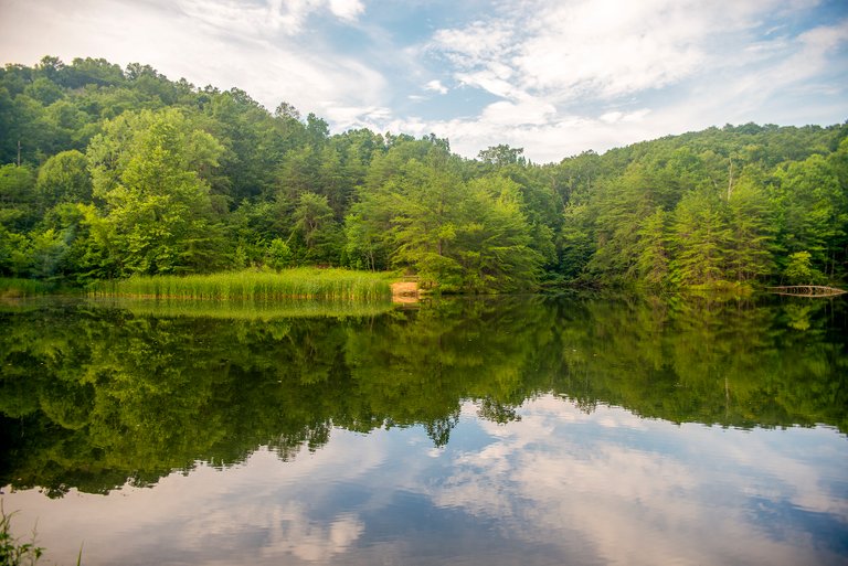 lake_mitchell_reflections.jpg