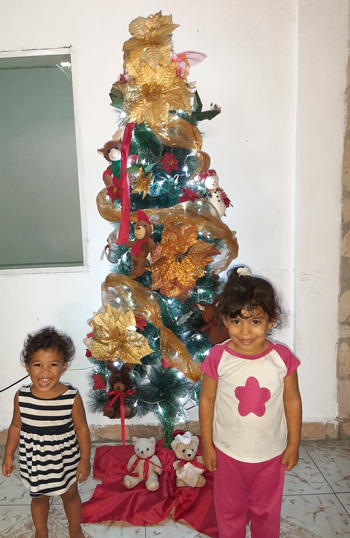 The Countdown to Christmas 