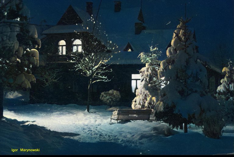 winternights.jpg