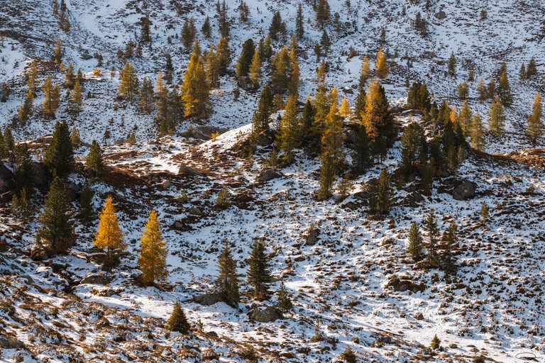 Autumn 2021 - Nock Mountains, Carinthia, Austria