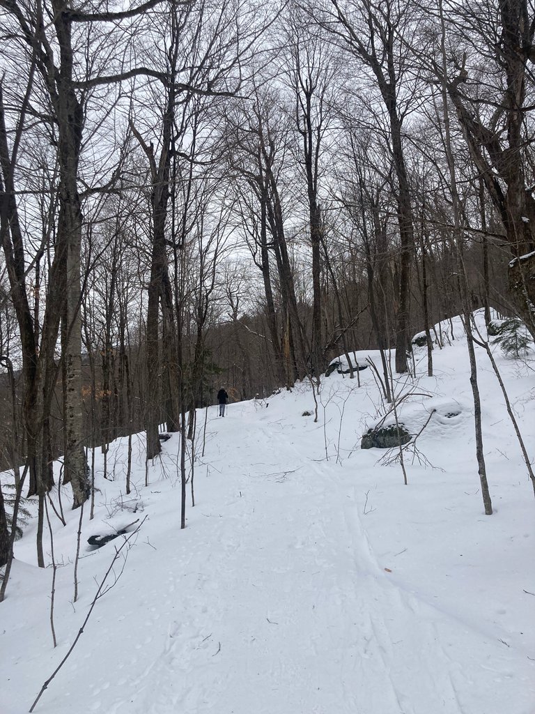 Hiker