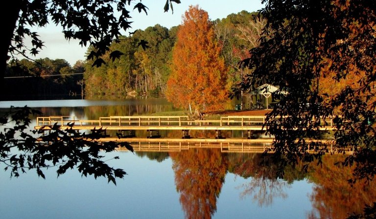 [BG\EN] Красотата на листопада в нас - The beauty of the leaffall in us