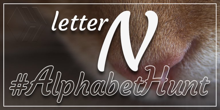 Hive Feel Good AlphabetHunt - Letter N