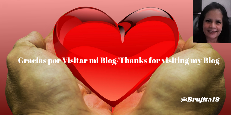 gracias_por_visitar_mi_blogthanks_for_visiting_my_blog_1_.png
