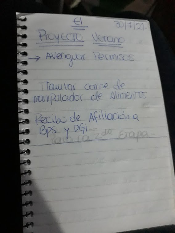 proy_verano.jpg