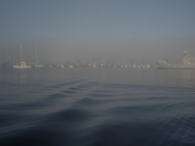 stavern_in_fog_044.jpg