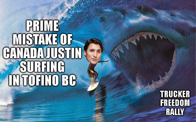 surfingtofino2.jpg