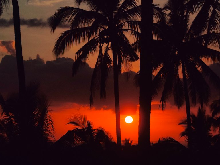 A hilltop view of the sunset from Buyod Hill