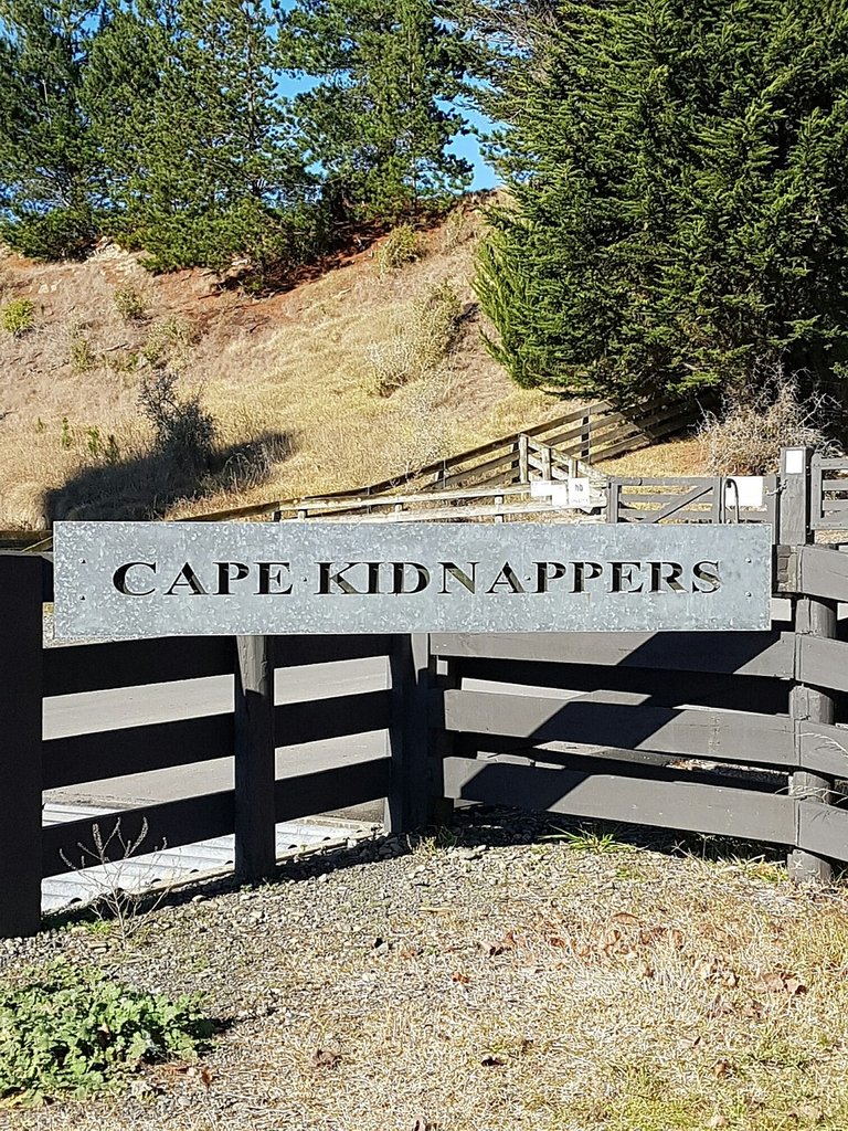 A WAY OUT OF KIDNAPPERS HOLE