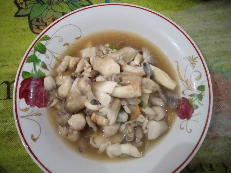 img20220512192709.jpg