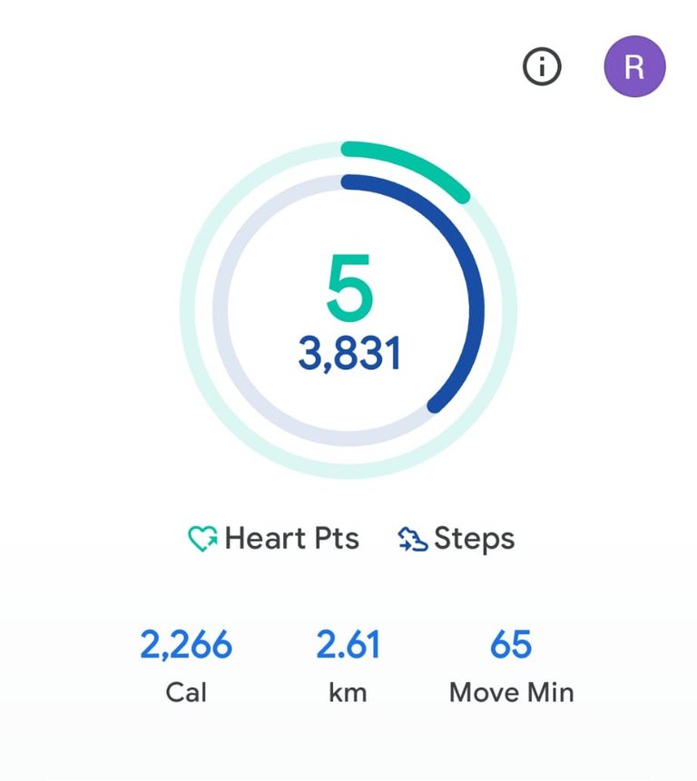 My Daily Activity Report: April 6 2026