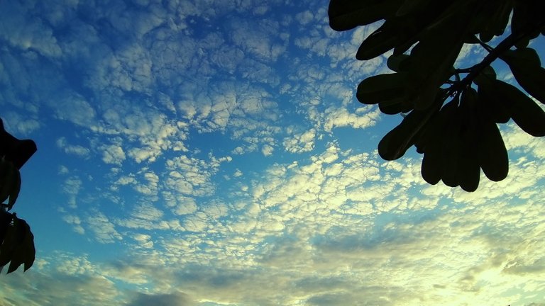 clouds_sunsets_and_beaches_kohsamui99_063.jpg