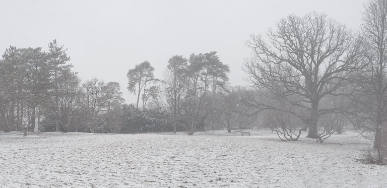 snowpano4_copy.jpg