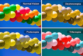 335x228_what_is_color_blindness_ref_guide.jpg