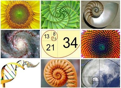 goldenratio.jpeg