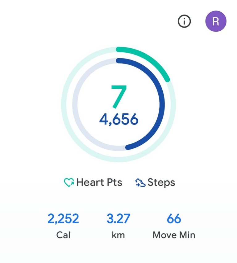 My Daily Activity Report: March 13 2026